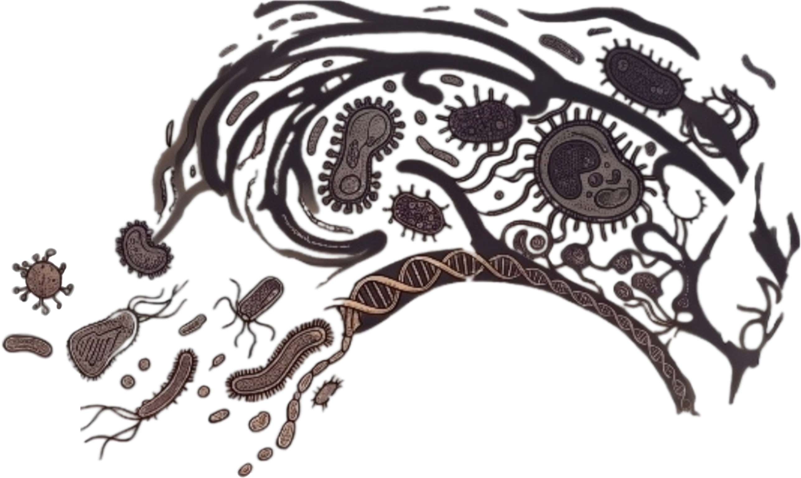 A hazy memory of pathogens